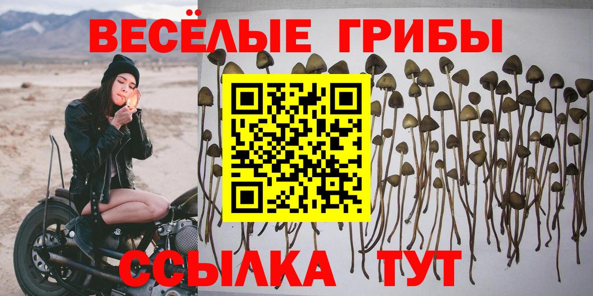 Псилоцибиновые грибы Magic Shrooms Шарыпово