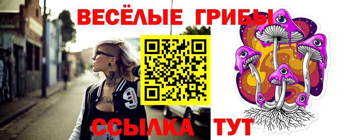 Галлюциногенные грибы MAGIC MUSHROOMS  Вход с VPN  Шарыпово 